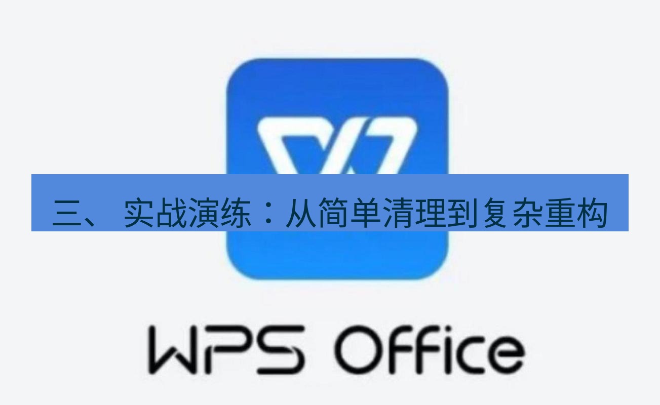 wps下载 三、 实战演练：从简单清理到复杂重构