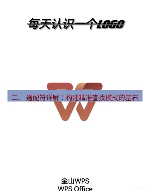 wps下载 二、 通配符详解：构建精准查找模式的基石