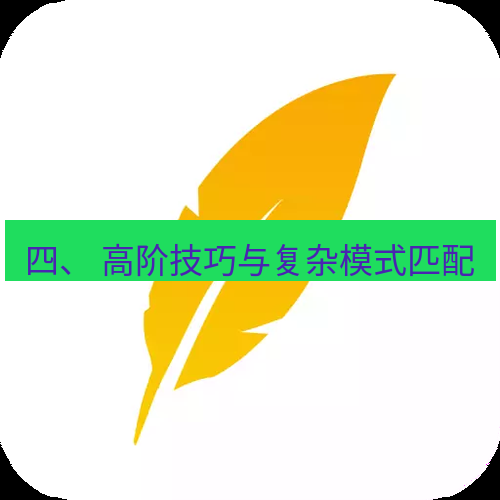 wps下载 四、 高阶技巧与复杂模式匹配
