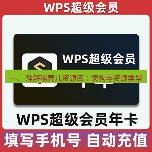 wps下载 一、 理解稻壳儿资源库：架构与资源类型