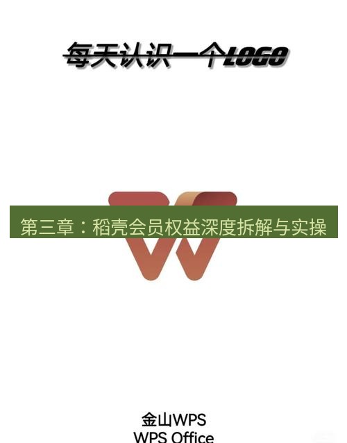 wps下载 第三章：稻壳会员权益深度拆解与实操