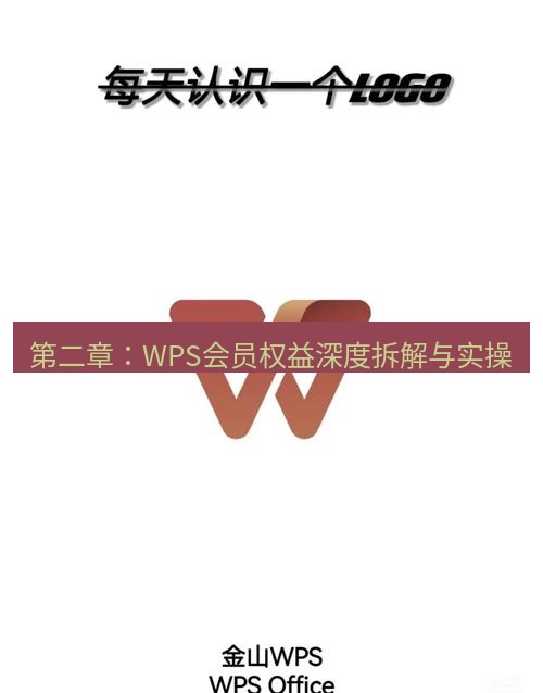wps下载 第二章：WPS会员权益深度拆解与实操