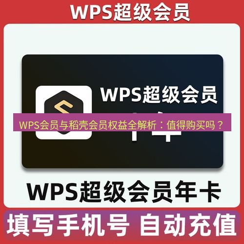 wps下载 WPS会员与稻壳会员权益全解析：值得购买吗？