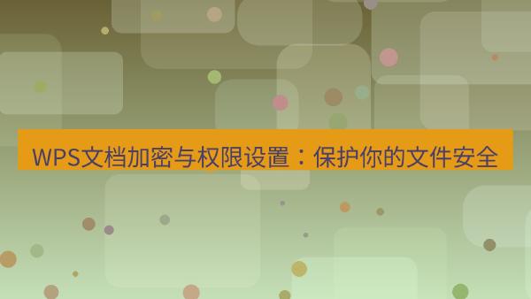 WPS文档加密与权限设置：保护你的文件安全