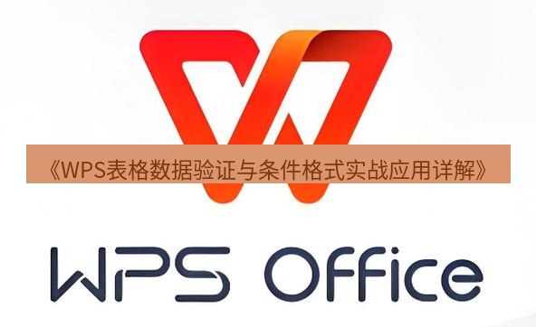 wps下载 《WPS表格数据验证与条件格式实战应用详解》