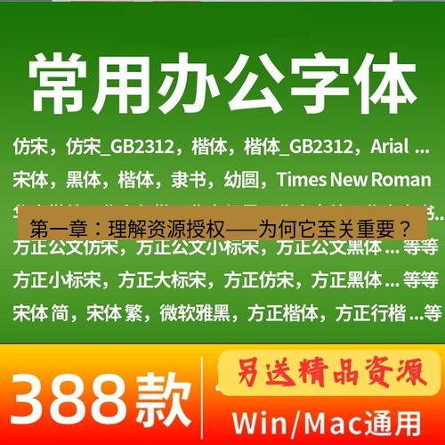 wps下载 第一章：理解资源授权——为何它至关重要？