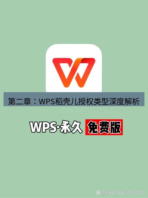 wps下载 第二章：WPS稻壳儿授权类型深度解析