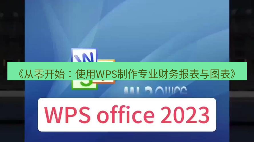 wps下载 《从零开始：使用WPS制作专业财务报表与图表》