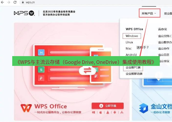 wps下载 《WPS与主流云存储（Google Drive, OneDrive）集成使用教程》