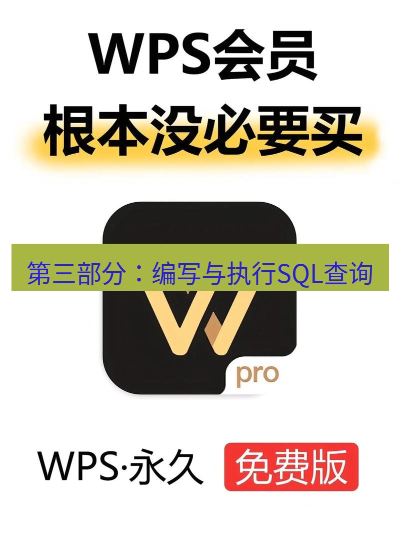 wps下载 第三部分：编写与执行SQL查询