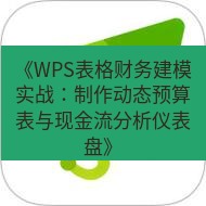 wps下载 《WPS表格财务建模实战：制作动态预算表与现金流分析仪表盘》
