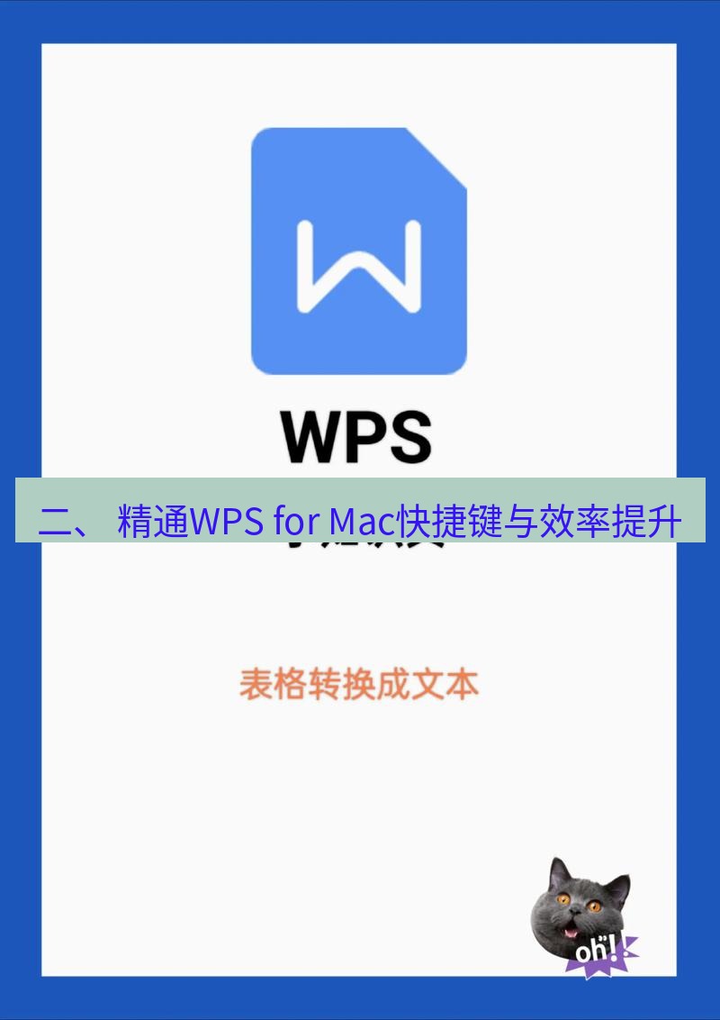 wps下载 二、 精通WPS for Mac快捷键与效率提升