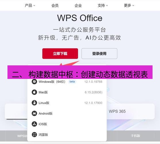 wps下载 二、 构建数据中枢：创建动态数据透视表