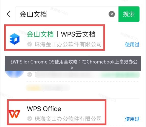 wps下载 《WPS for Chrome OS使用全攻略：在Chromebook上高效办公》