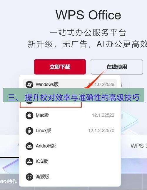 wps下载 三、 提升校对效率与准确性的高级技巧