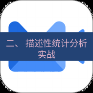 wps下载 二、 描述性统计分析实战