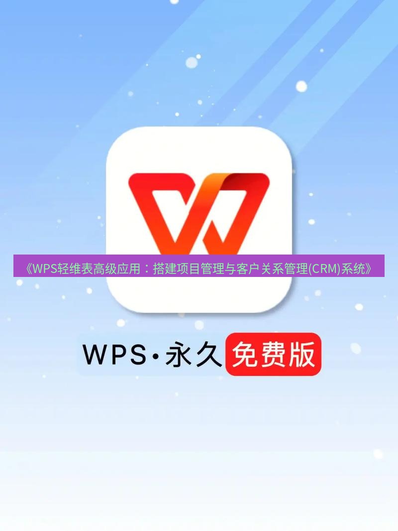 wps下载 《WPS轻维表高级应用：搭建项目管理与客户关系管理(CRM)系统》